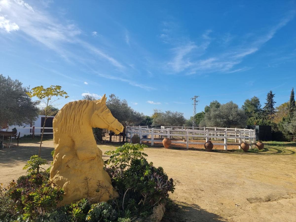 Finca Rural La Canera 16 Huespedes إشبيلية المظهر الخارجي الصورة