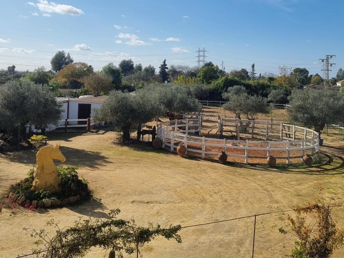 Finca Rural La Canera 16 Huespedes إشبيلية المظهر الخارجي الصورة
