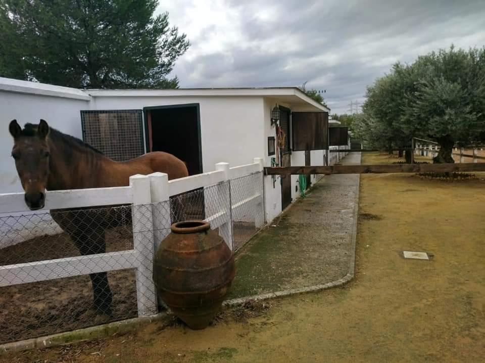 Finca Rural La Canera 16 Huespedes إشبيلية المظهر الخارجي الصورة